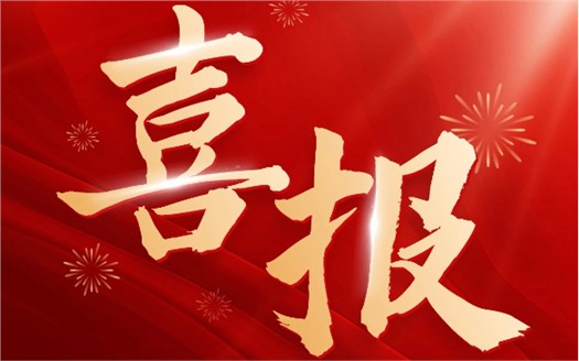 集團榮膺2025中國民營企業(yè)500強第249位，制造業(yè)民營企業(yè)500強第177位，排名較去年雙雙大幅提升